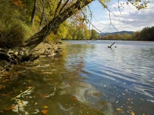 Allegany Reservoir