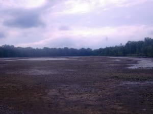 Silt clogs allegany shallows