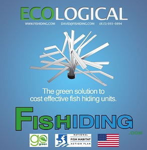Fishding fish attractors