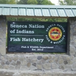 Seneca Nation fish habitat project
